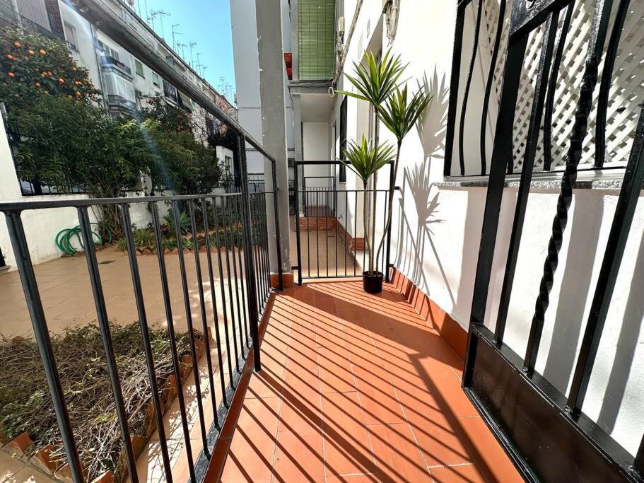 Apartamentos Rincon Andaluz 4 Córdoba Exterior foto